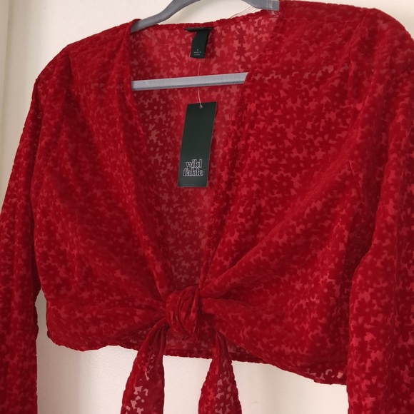 NWT Wild Fable Target Red Suede Floral Translucent Tie Crop Top Long Sleeves - S - Picture 3 of 12